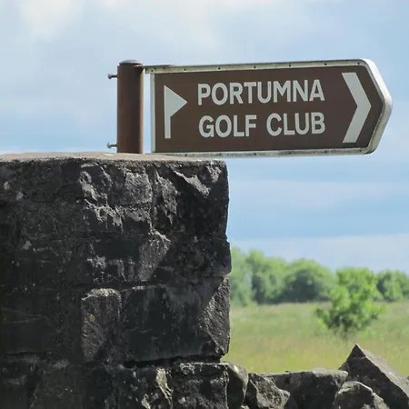 Gate 3* Portumna